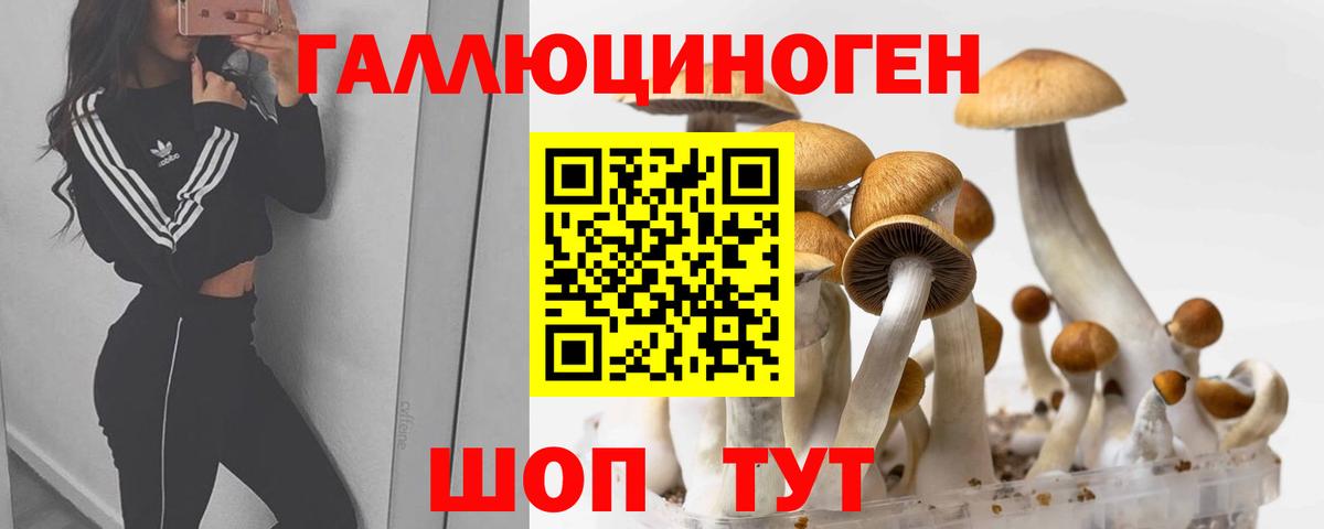 Туймазы  Псилоцибиновые грибы Cubensis  купить наркоту  Вход с VPN 